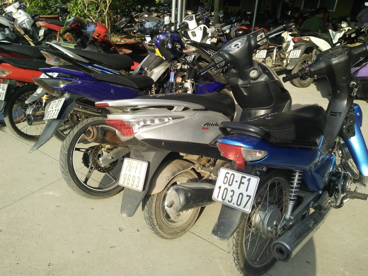 p3.jpg