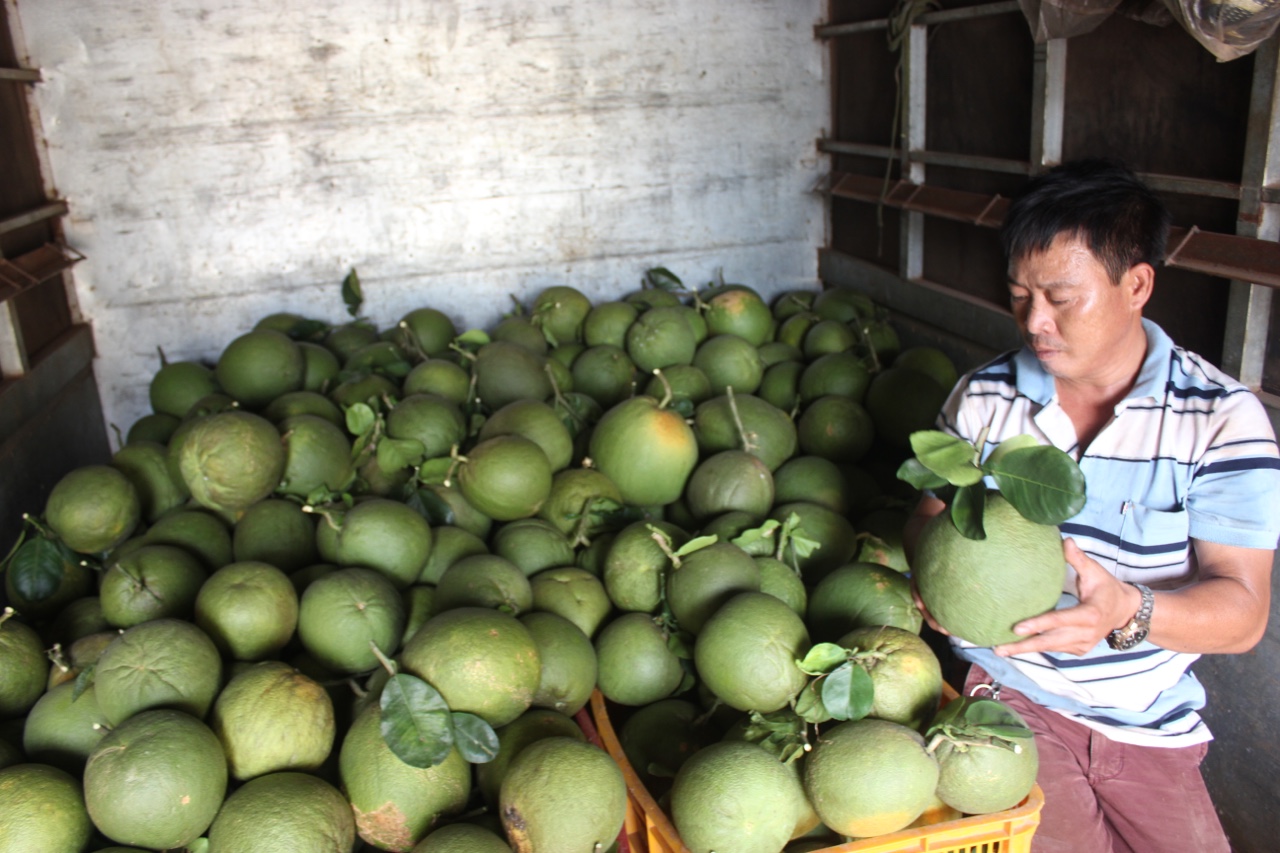 18.5-H1 FTA “khơi thông” cho nông sản.jpg