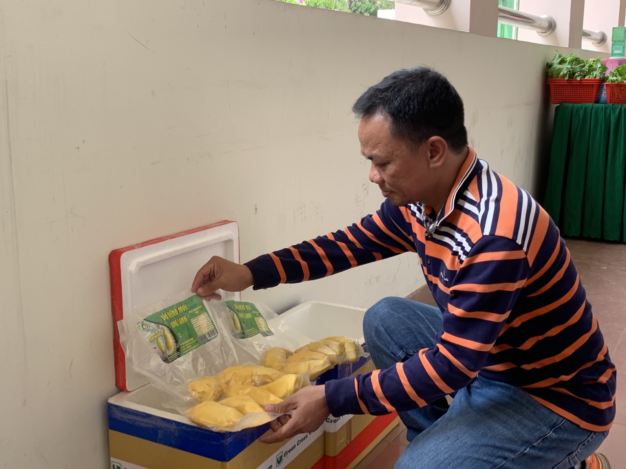 18.6-Đầu tư chế biến trái cây tươi 1.jpg