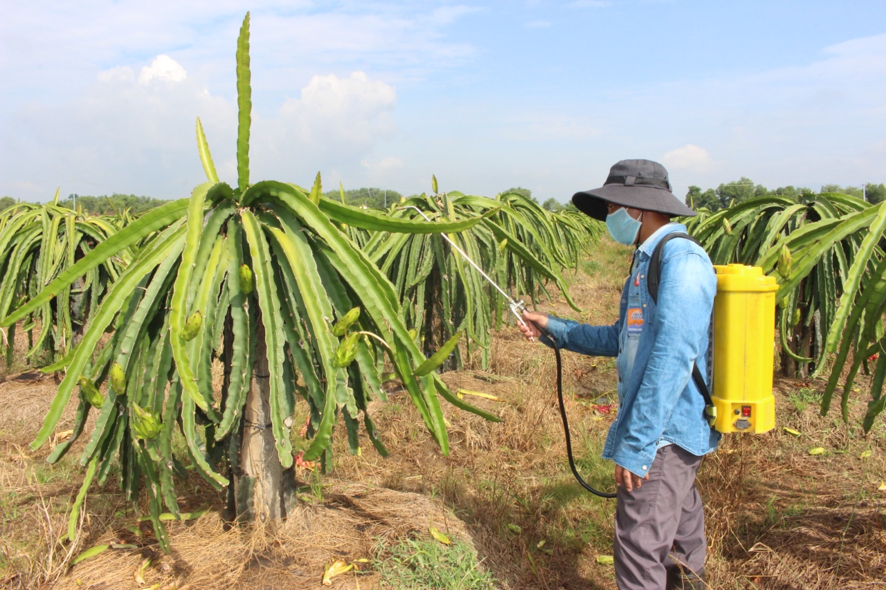 21.6-Thuốc bảo vệ thực vật nông dân còn lạm dụng 1.jpg