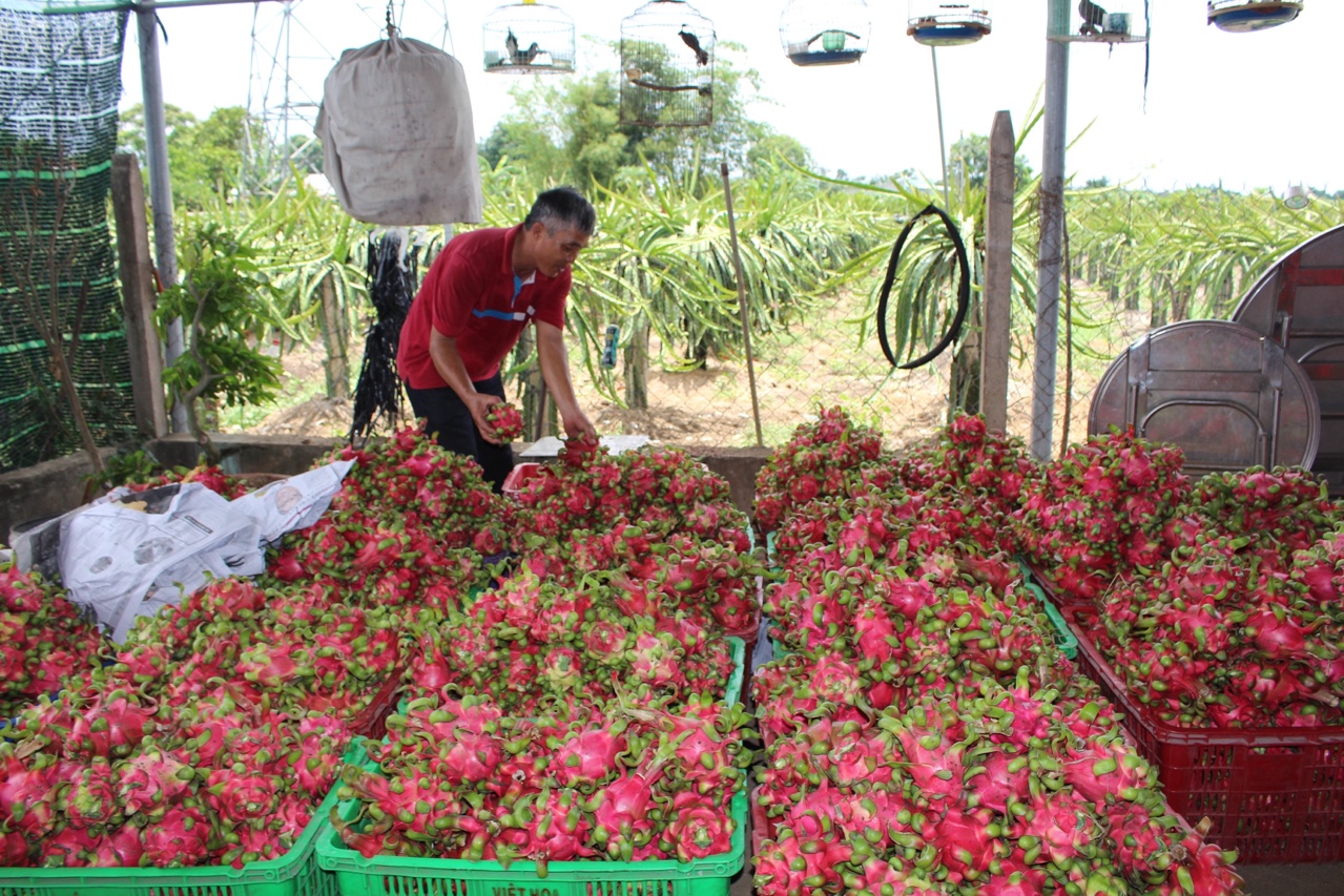 thanhlong22921d.jpg