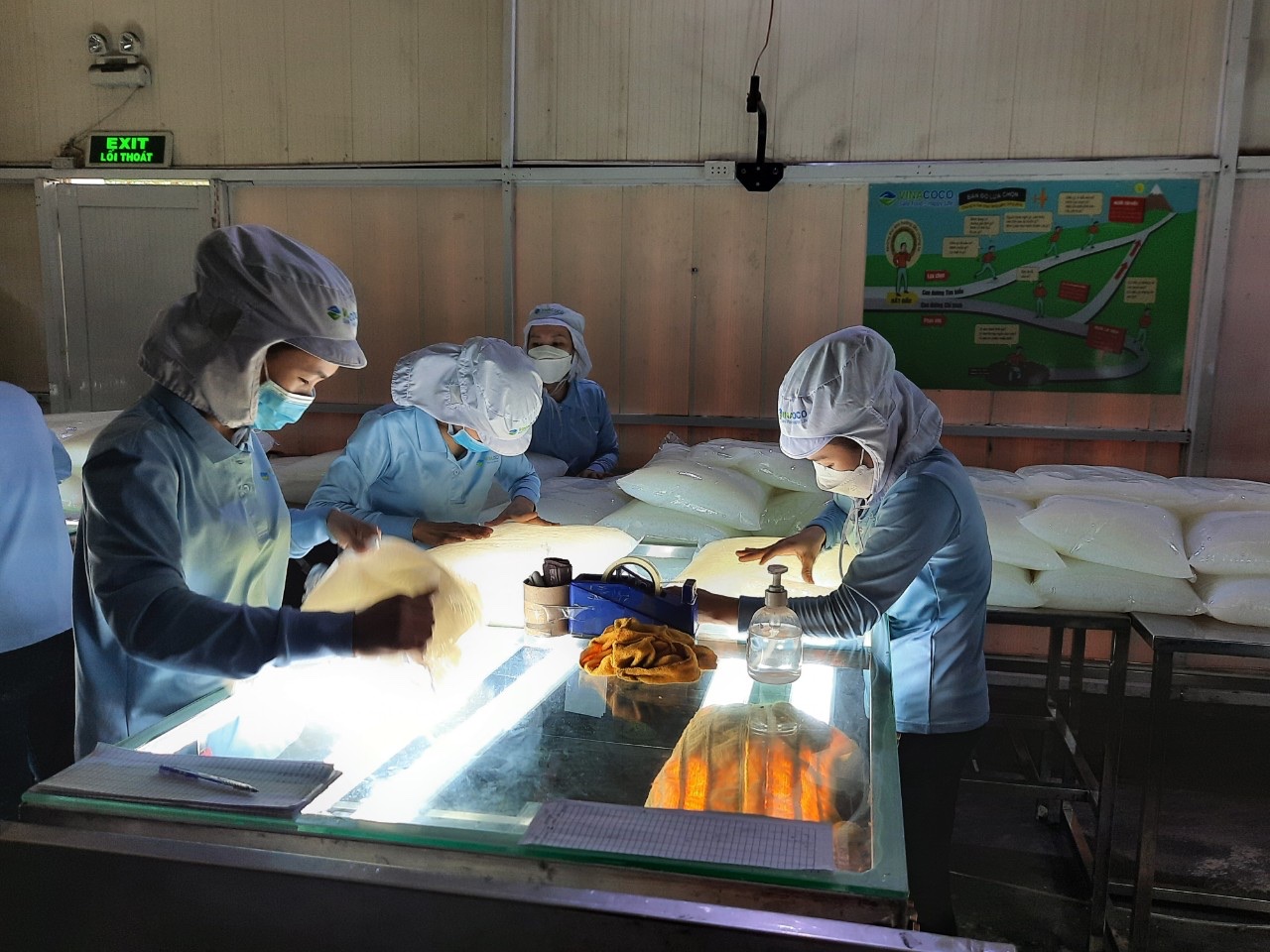 phu-221121d.jpg