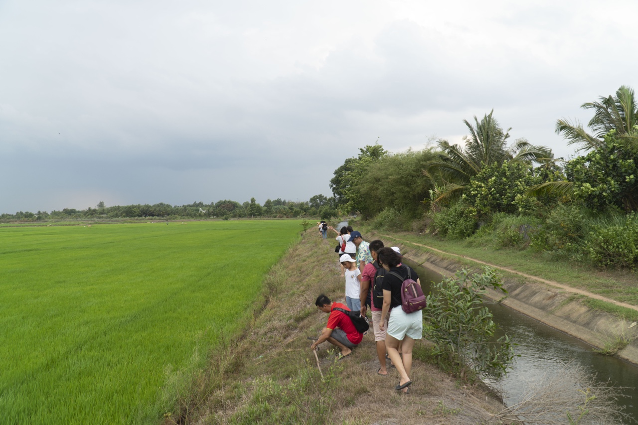 trang-10322.jpg