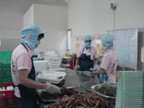 22thucpham01160