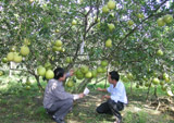 D412008buoi20071