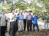 D1742008saurieng0811