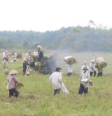 D2582008luadinhquan