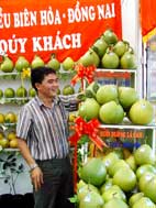 Tan Trieu Pomelo