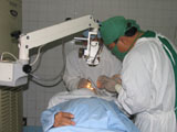 20082104thidua2160