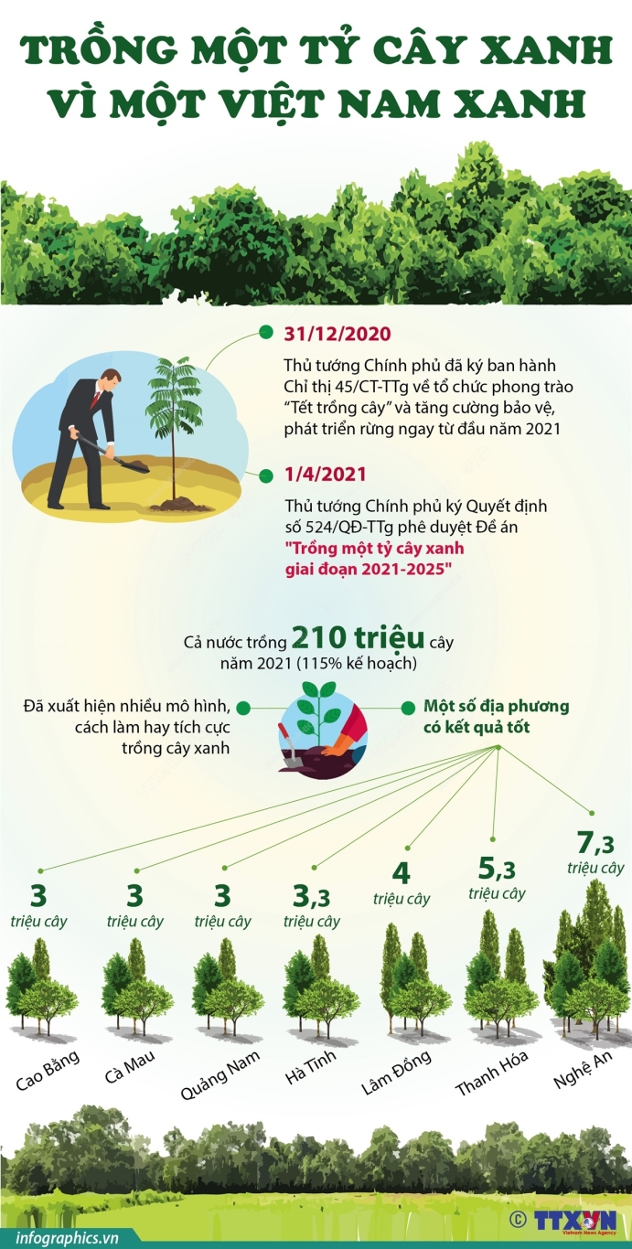 2022 02 07 vn tet trongcay h84