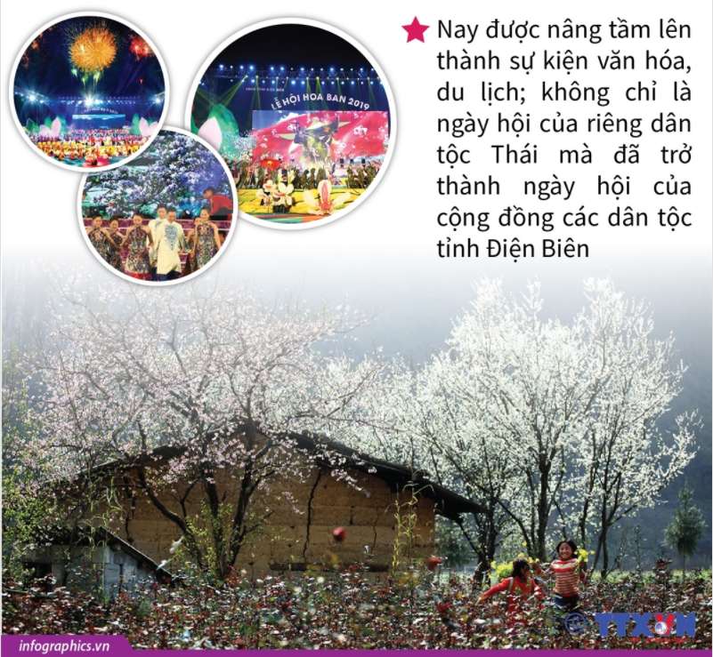 05 hoa ban