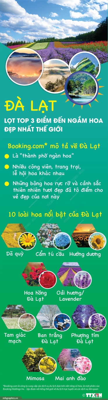 2022 3 25 vn hoa da lat ngoc ngoc copy