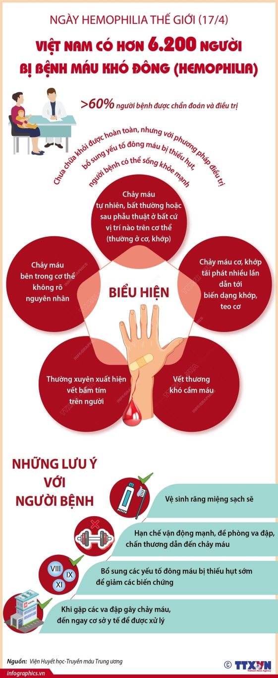 vna potal viet nam co hon 6200 nguoi bi benh mau kho dong hemophilia