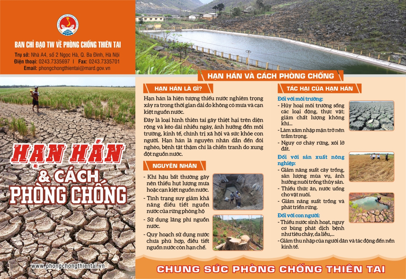 To roi han han T9 2018 1