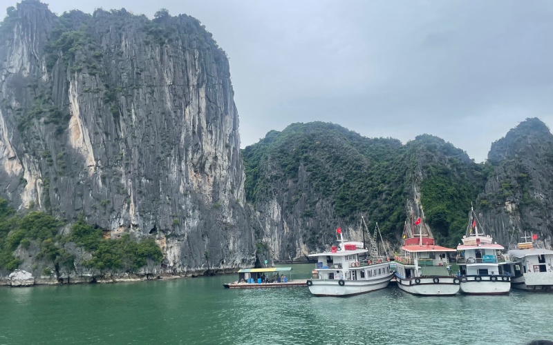 halong 1654514493322