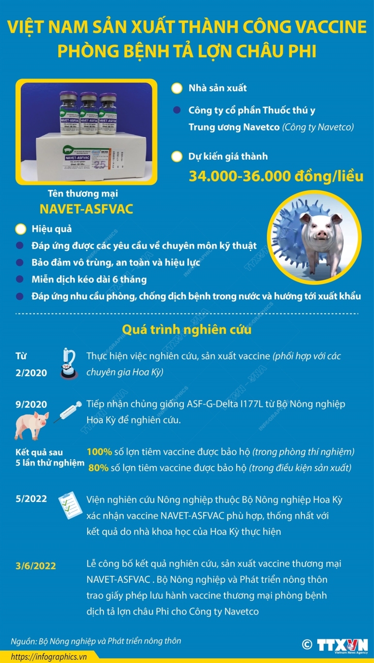 vna potal viet nam san xuat thanh cong vaccine phong benh ta lon chau phi (1)