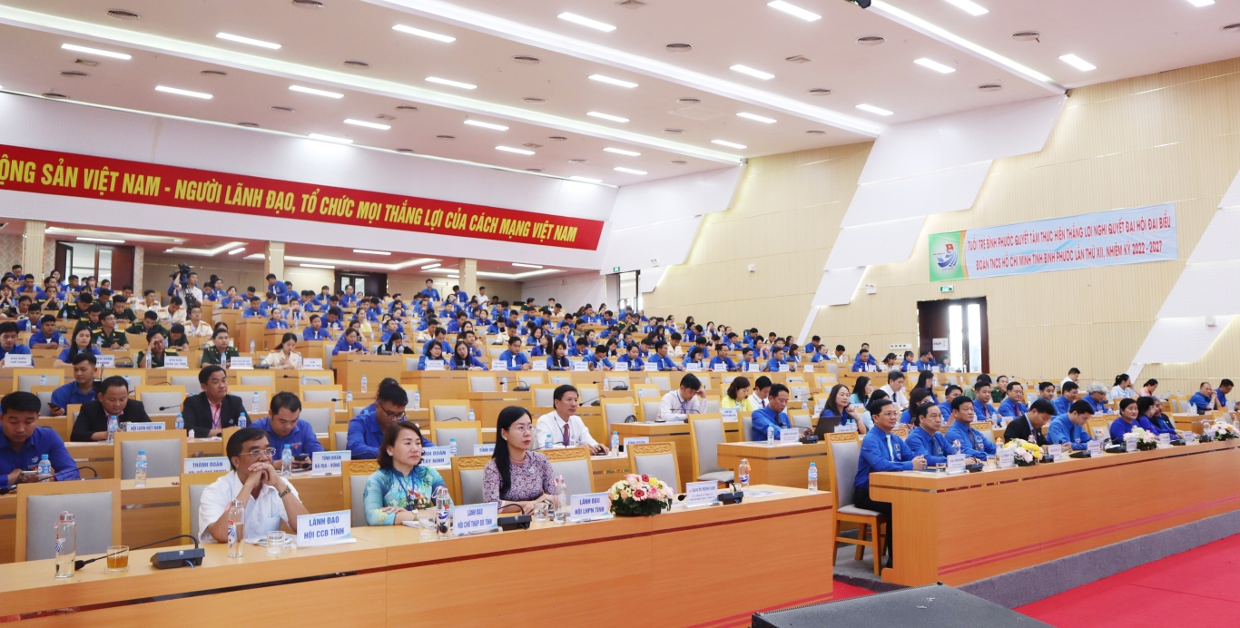 Dai bieu tham du