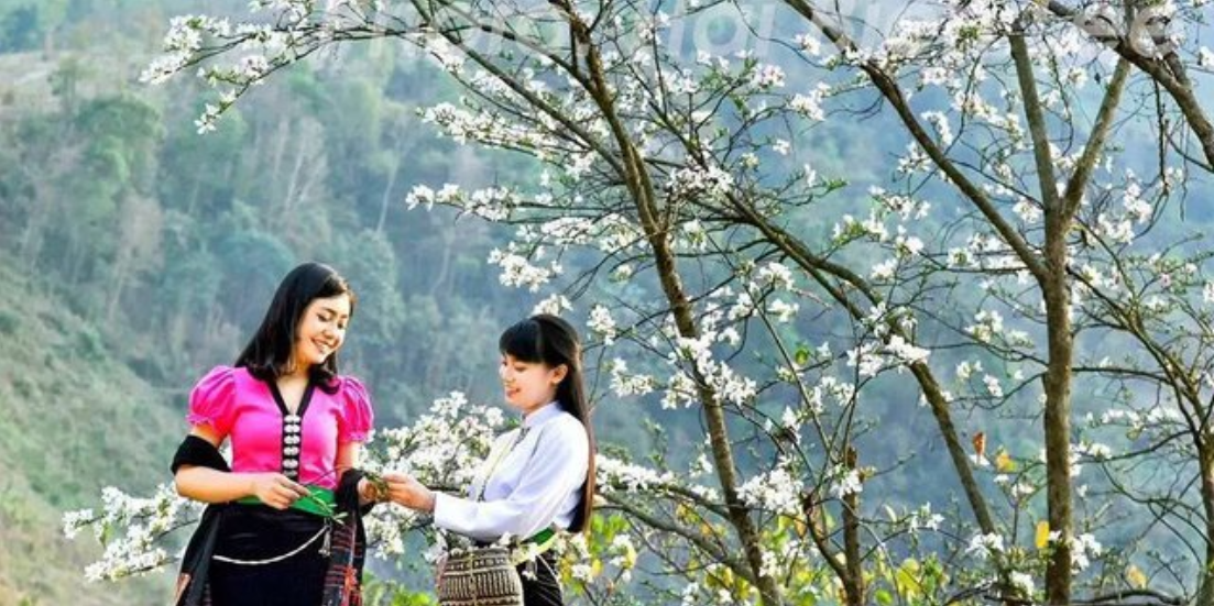 Le hoi hoa ban 1