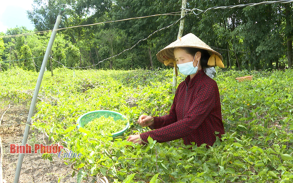 anh 6 20082306042023