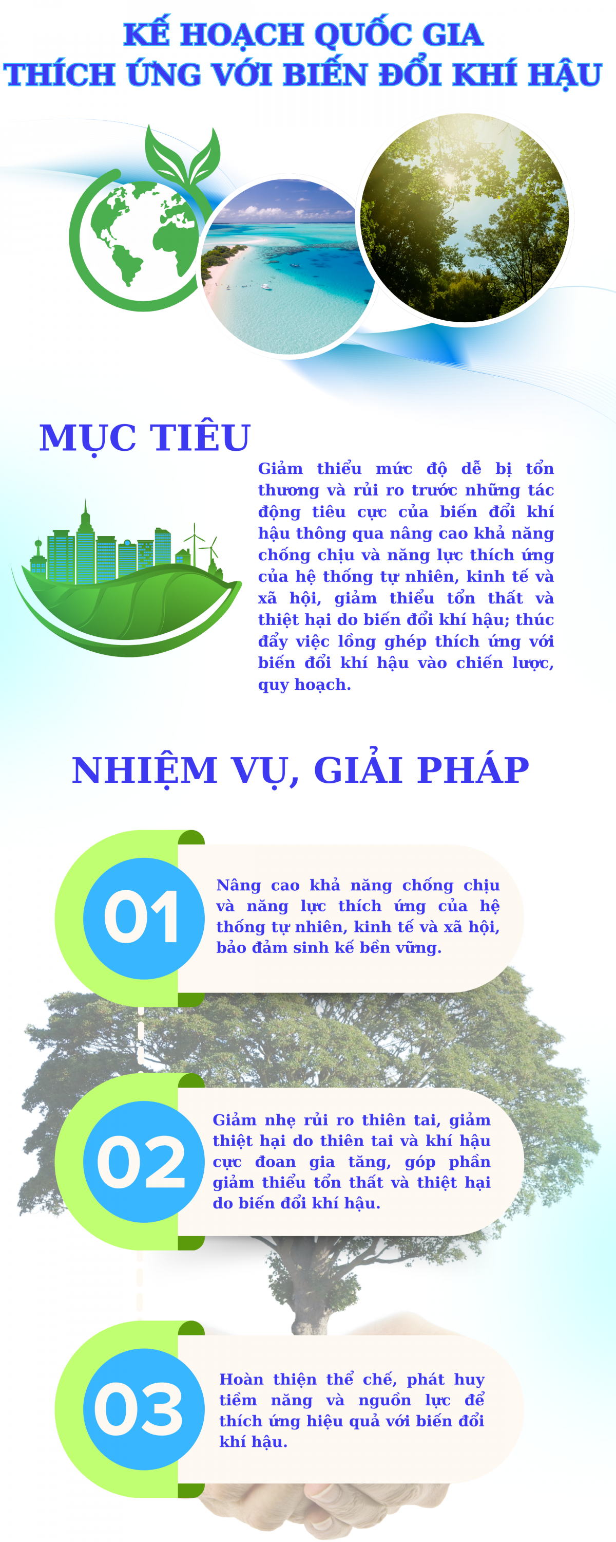 Chưa có tên (800 x 2000 px) (4)