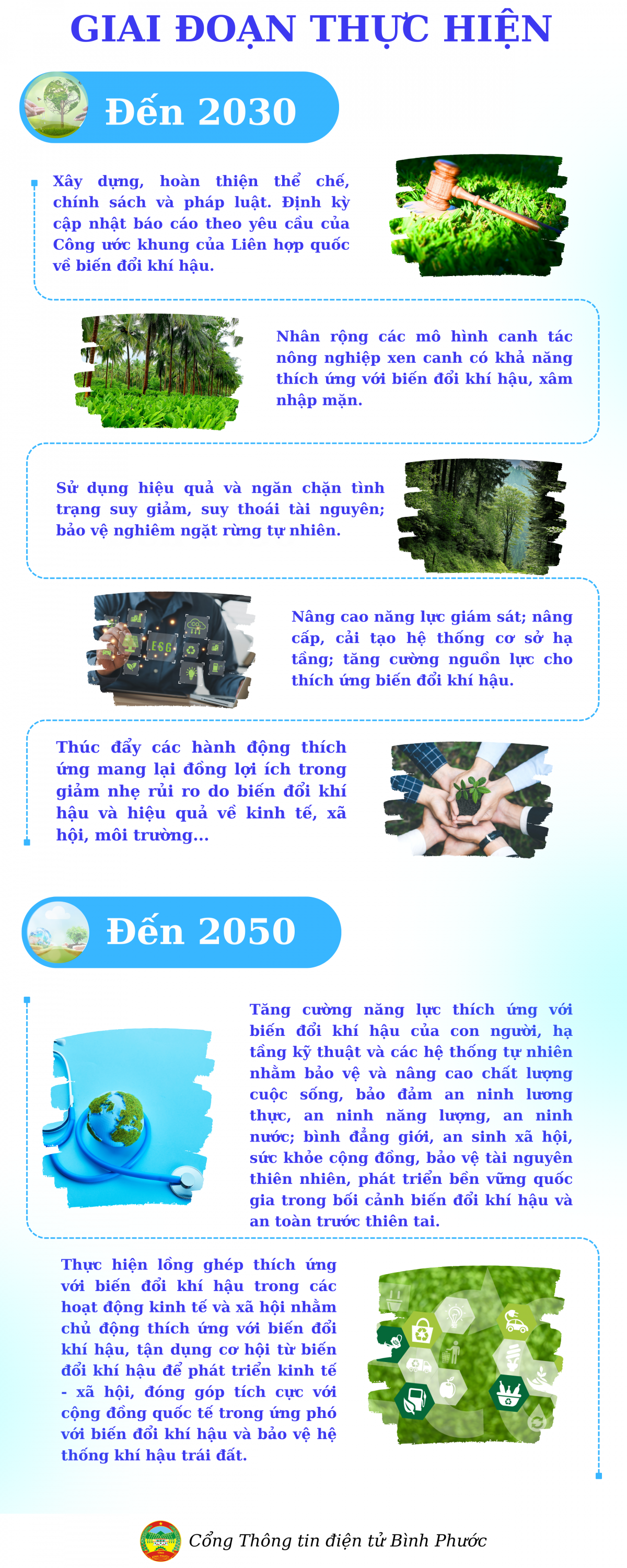 Chưa có tên (800 x 2000 px) (5)