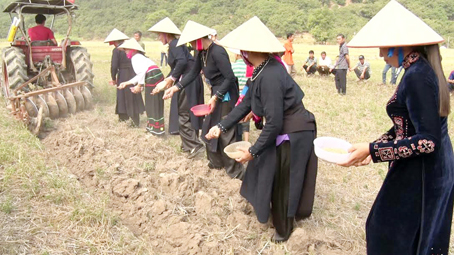 2g gieo h_t trong nghi thuc tich dien.jpg