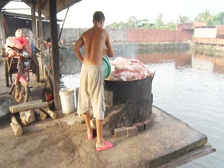 13N1_ Đoàn kiểm tra buộc tiêu hủy toàn bộ số heo.jpg