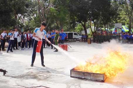 8B.jpg
