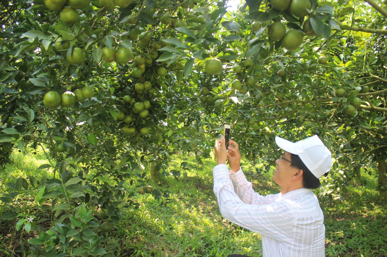 9.10 H1 Phát triển sản xuất an toàn.jpg