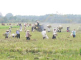 D2082008lLT1