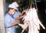 Chuanbihangtetxuatkhau.jpg