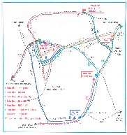 Bus Lines