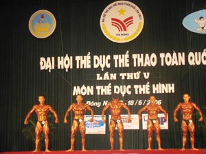17 the hinh 300
