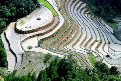 Bantin 17.9 (TN) - Ruong bac thang Hoang Su Phi don nhan bang di tich quoc gia ruongbacthanxathangtin.jpg
