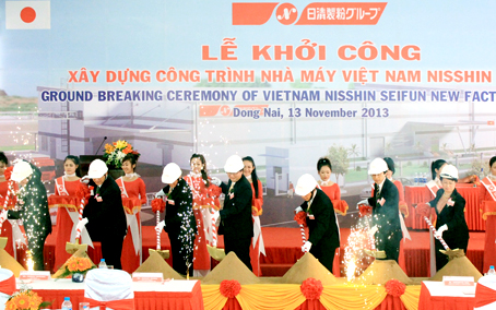 dong nai 4.jpg