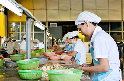 NM-160419-LargeAgriculturalRegionMustHaveProduct.jpg