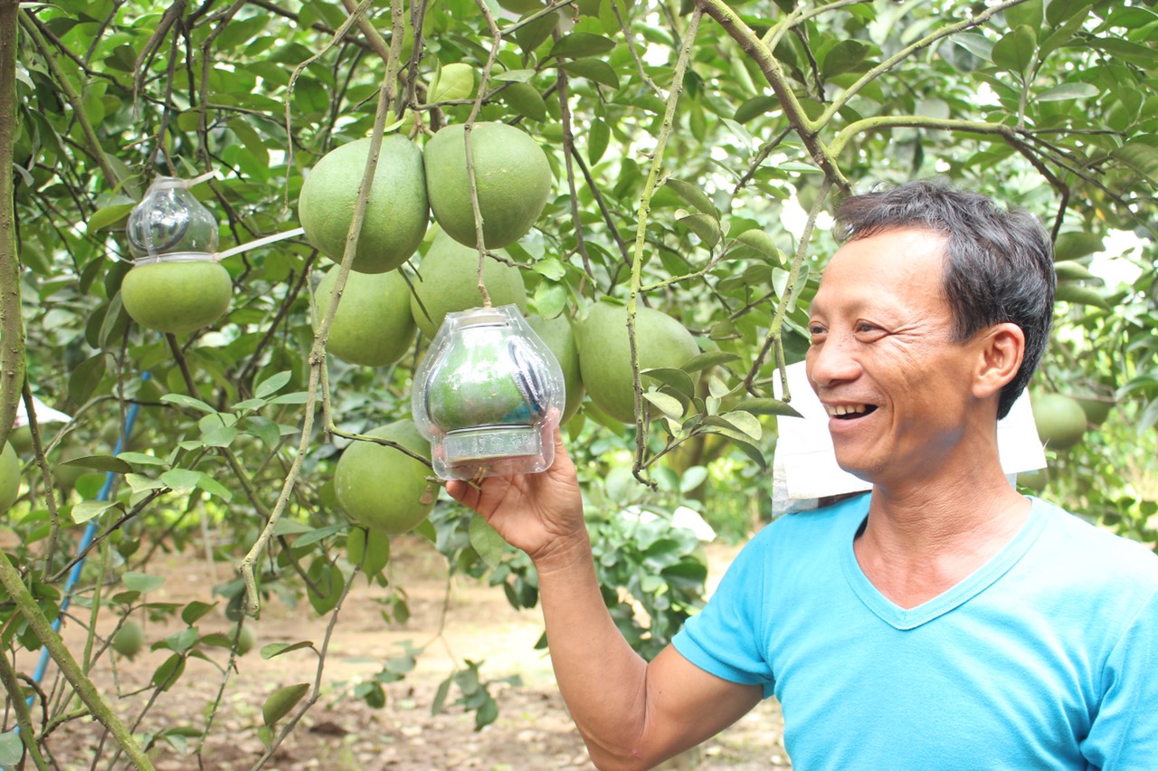 dacsanbuoi.jpg