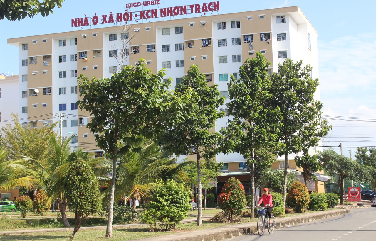 a15.jpg