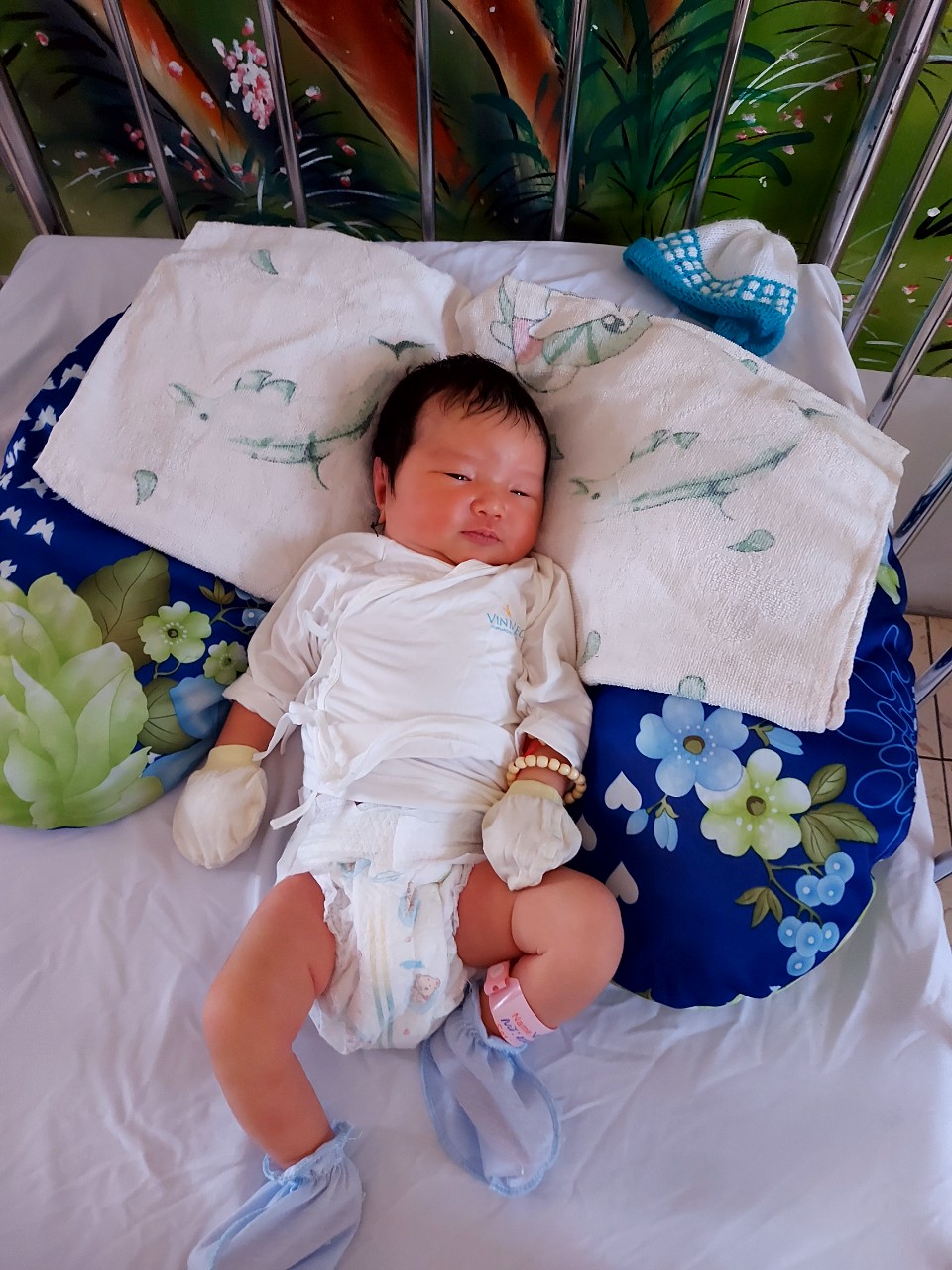 anh 285.jpg