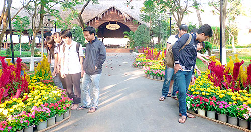 2402-Phongphu1.JPG