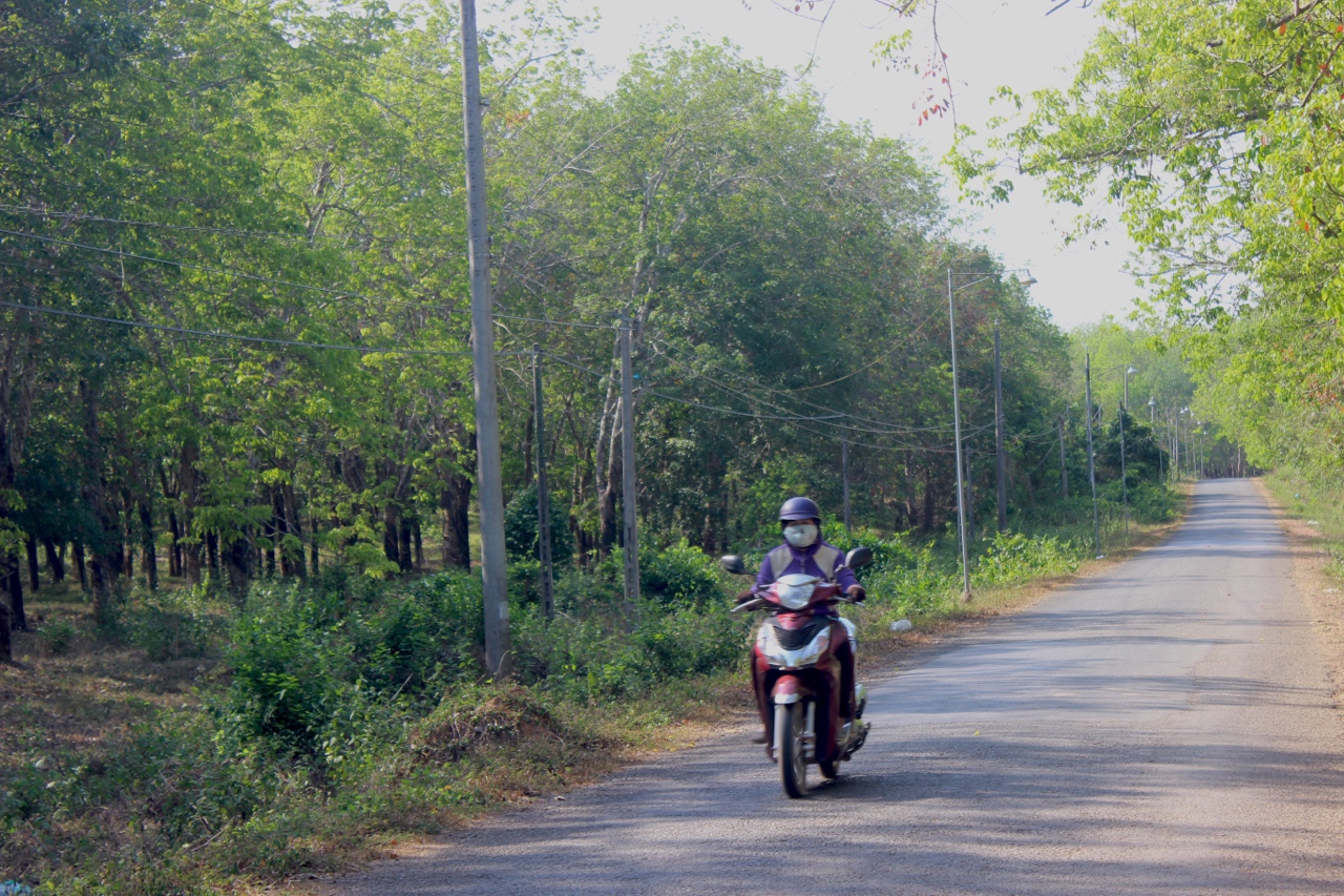 hinh 070322.14.jpg