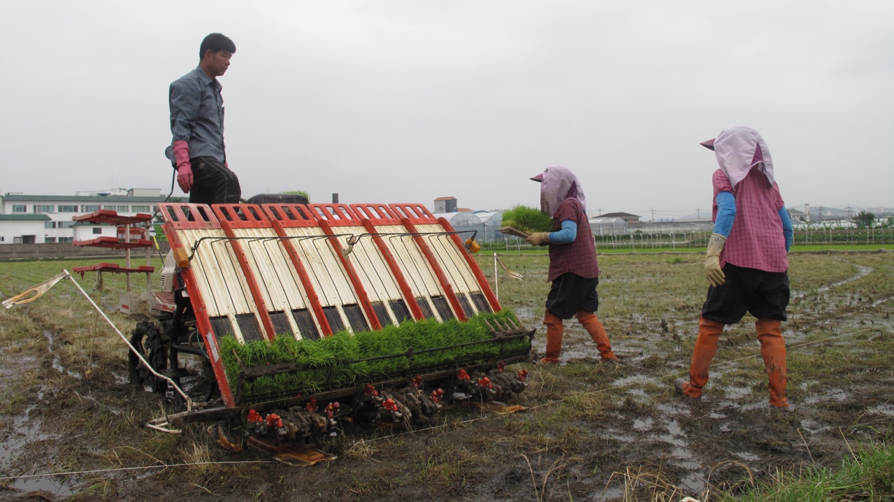 hinh 180422.17.jpg