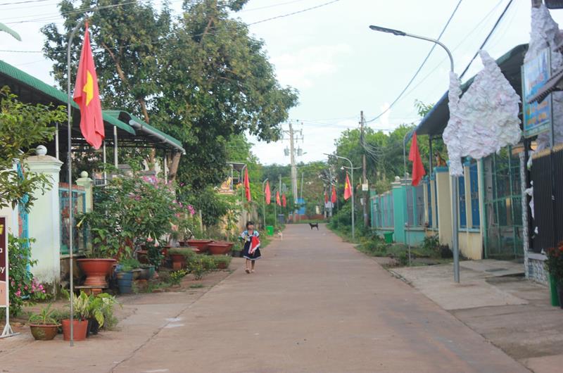 hinh 060622.4.jpg