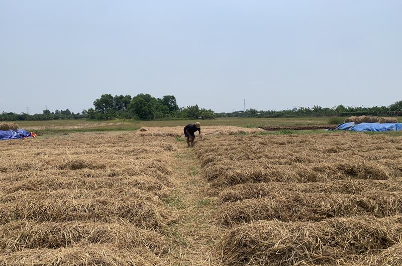 hinh 080523.10.jpg