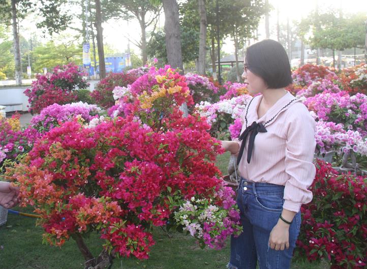 hinh 050224.1.jpg