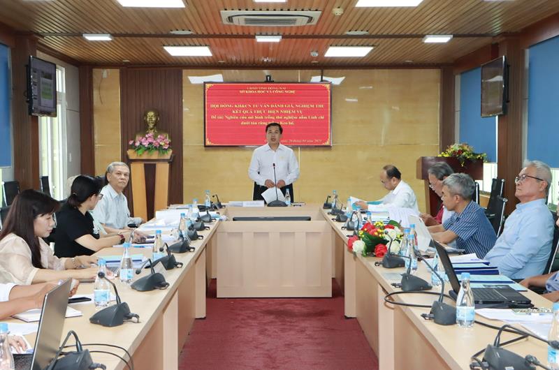 hinh 120623.4.jpg