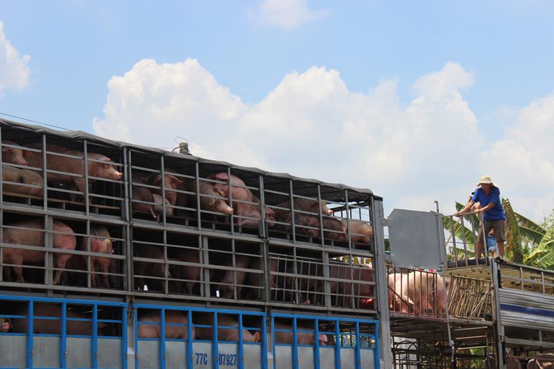 hinh 100723.21.jpg