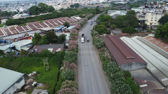 hinh 080425.1.jpg